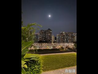 油麻地 - 京士柏山4座 (70號) 20