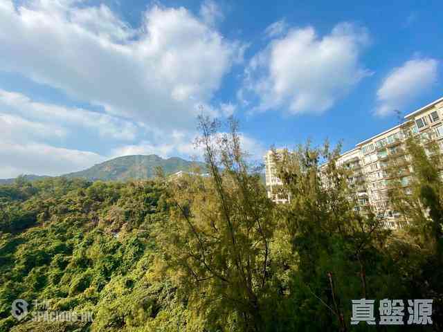 畢架山 - 畢架山一號 04