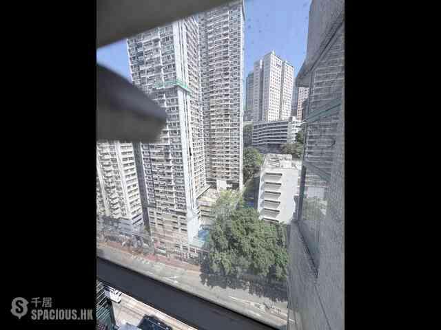 Causeway Bay - Kailey Court 12