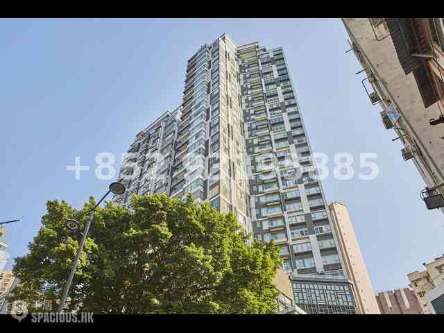 Sai Ying Pun - The Summa Block 1 17