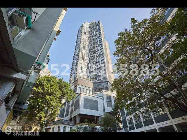 Sai Ying Pun - The Summa Block 1 41