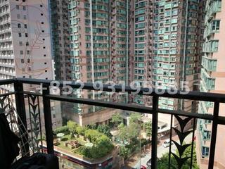 Sheung Wan - Medal Court 06