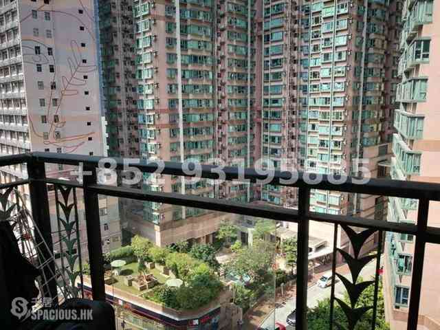 Sheung Wan - Medal Court 06