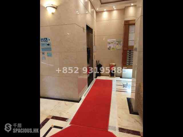 Sheung Wan - Medal Court 08