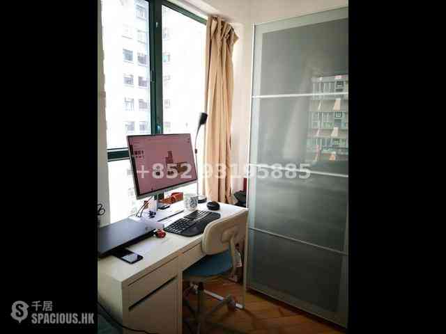 Sheung Wan - Medal Court 11