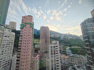 跑马地 - 华苑 08