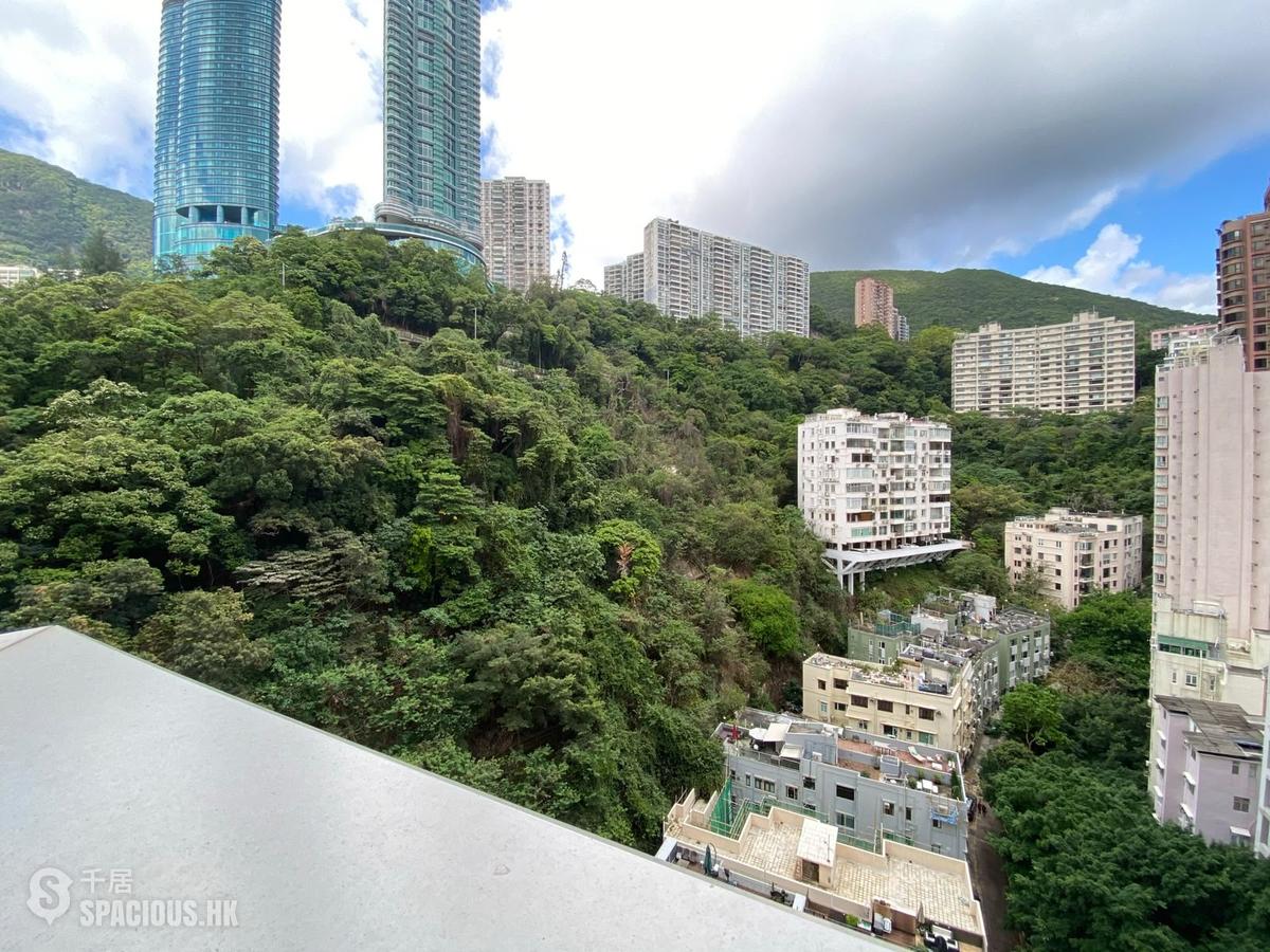 跑馬地 - 紀雲峰 01