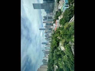 中半山 - 君珀 17