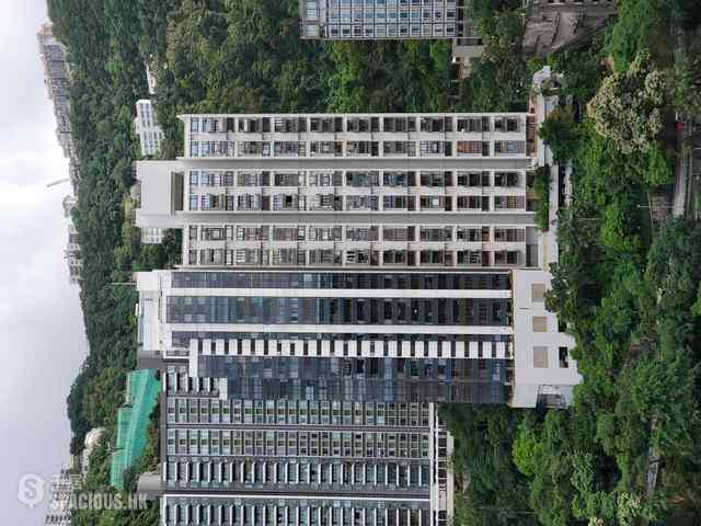 中半山 - 梅苑1座 03