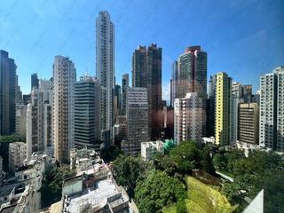 Sheung Wan - Hollywood Hill 02