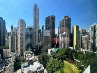 Sheung Wan - Hollywood Hill 02