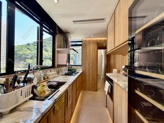 Mid Levels West - Dragonview Court 12