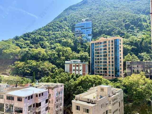 Mid Levels West - Dragonview Court 37