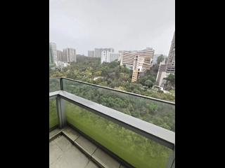 North Point - Lime Habitat 02