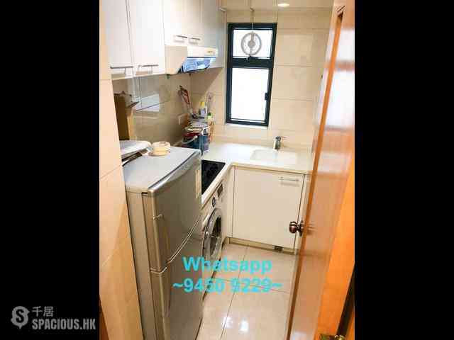 Sheung Wan - Elite's Place 15