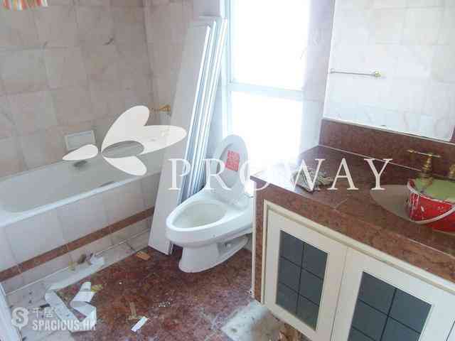 Stanley - Redhill Peninsula 05