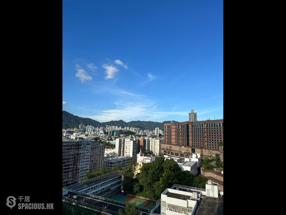 Mong Kok - Elize Park 01