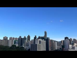 Mong Kok - Elize Park 05