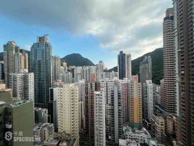 坚尼地城 - 泓都 01