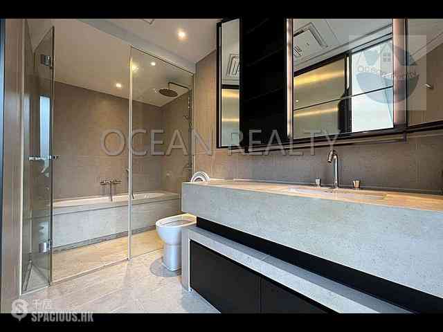 Clear Water Bay - Mount Pavilia 17
