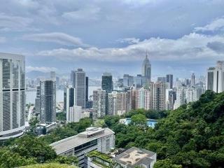 東半山 - 峰景花园 02