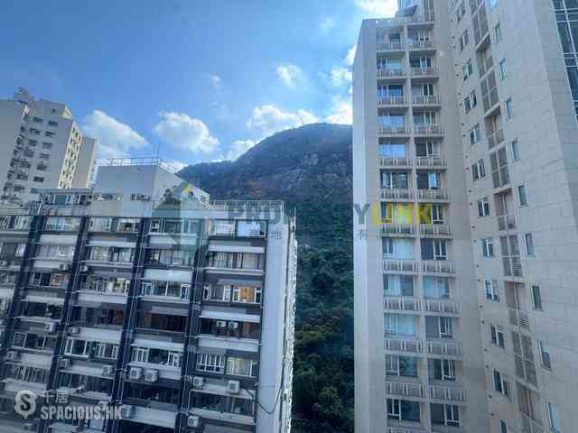 Mid Levels Central - Winsome Park 01