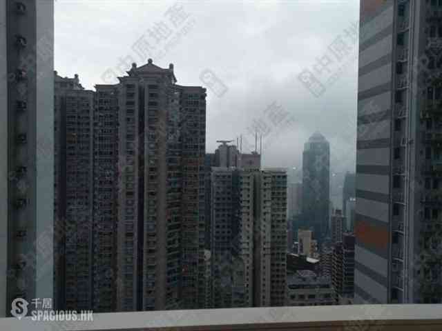 中半山 - 敦皓 15