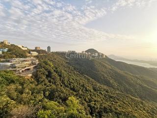 The Peak - The Mount Austin 12