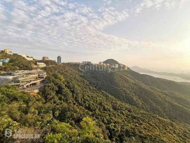 The Peak - The Mount Austin 11