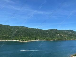 Stanley - Redhill Peninsula 10