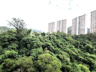 大坑 - 慧景园 05