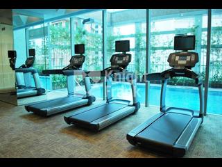 湾仔 - York Place 13