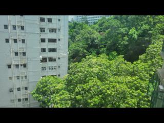 天后 - 傲龍軒 06