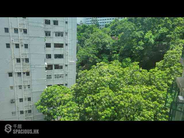 Tin Hau - Dragon Pride 06