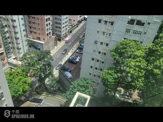Tin Hau - Dragon Pride 07