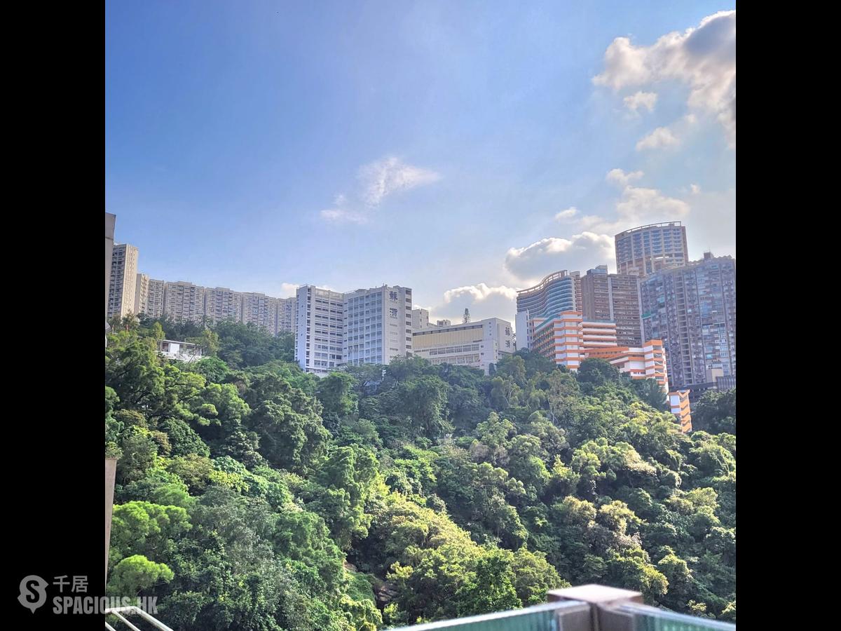 北角 - 丹拿花園 01