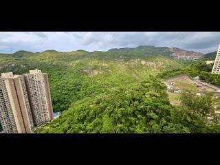 大坑 - 慧景園 11