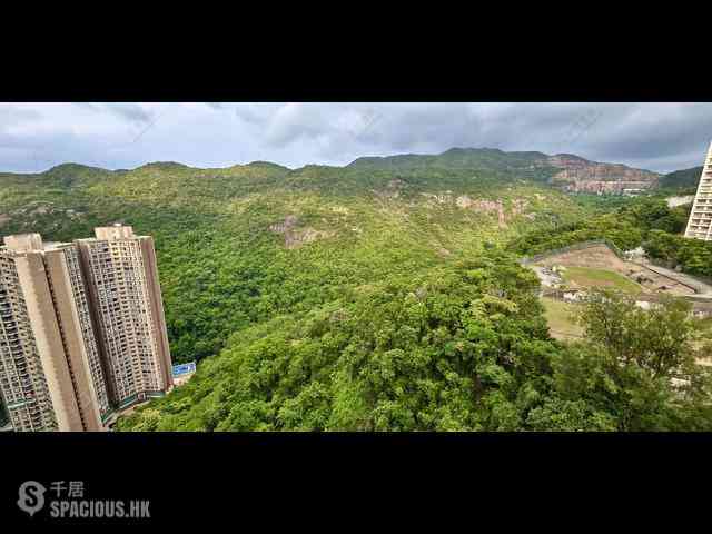 大坑 - 慧景園 11