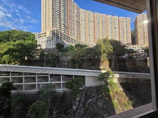 薄扶林 - 碧瑶湾31座 17