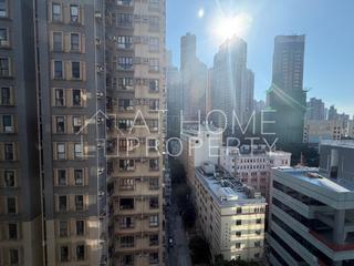 Sheung Wan - Hollywood Hill 11