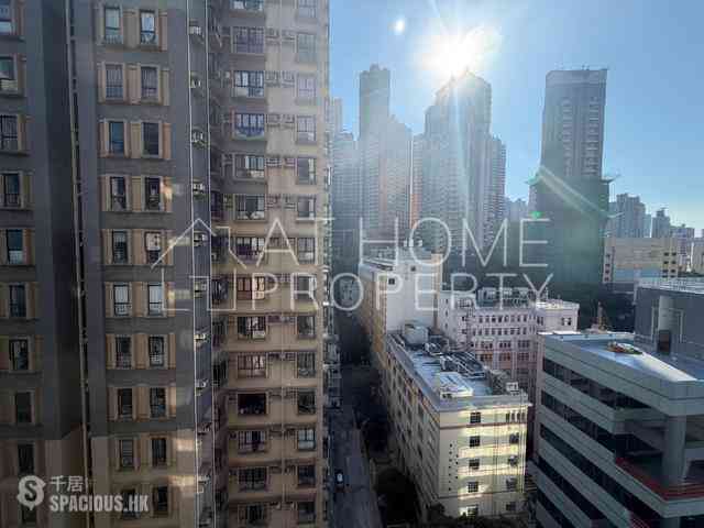 Sheung Wan - Hollywood Hill 11