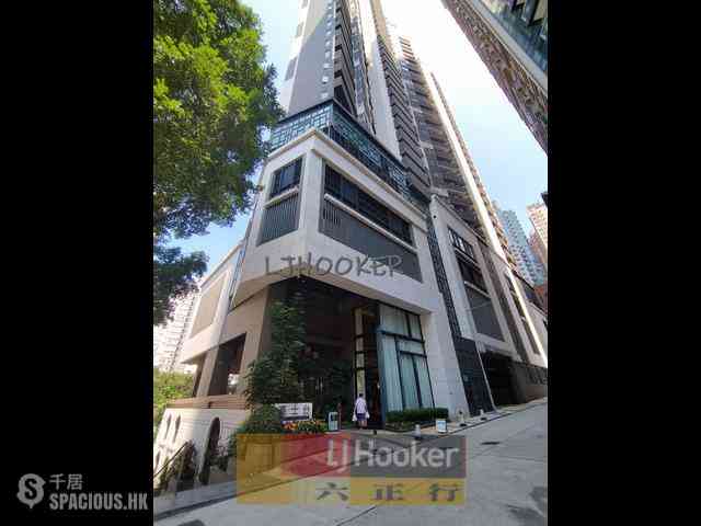 Sai Ying Pun - The Summa 14