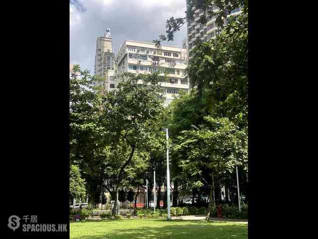 坚尼地城 - 西环新楼 12