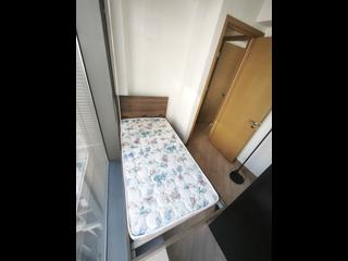 将军澳 - 天晋 II 05