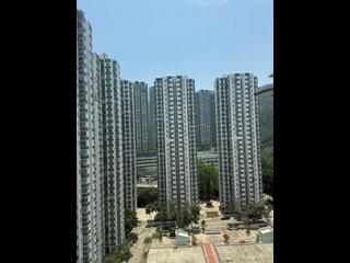 鲗鱼涌 - 逸桦园2座 08