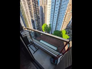 Sai Ying Pun - 15 Western Street 06