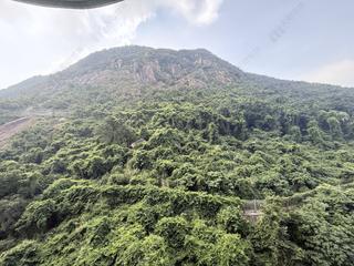 中半山 - 承德山庄1座 03