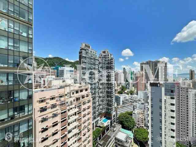 西營盤 - 蔚峰 12