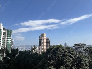 中半山 - 玫瑰别墅 02