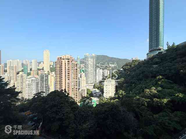 司徒拔道 - 纪园 04